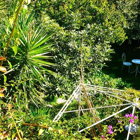Bed and Breakfast Les Petits Poissons Avignon Zimmer foto