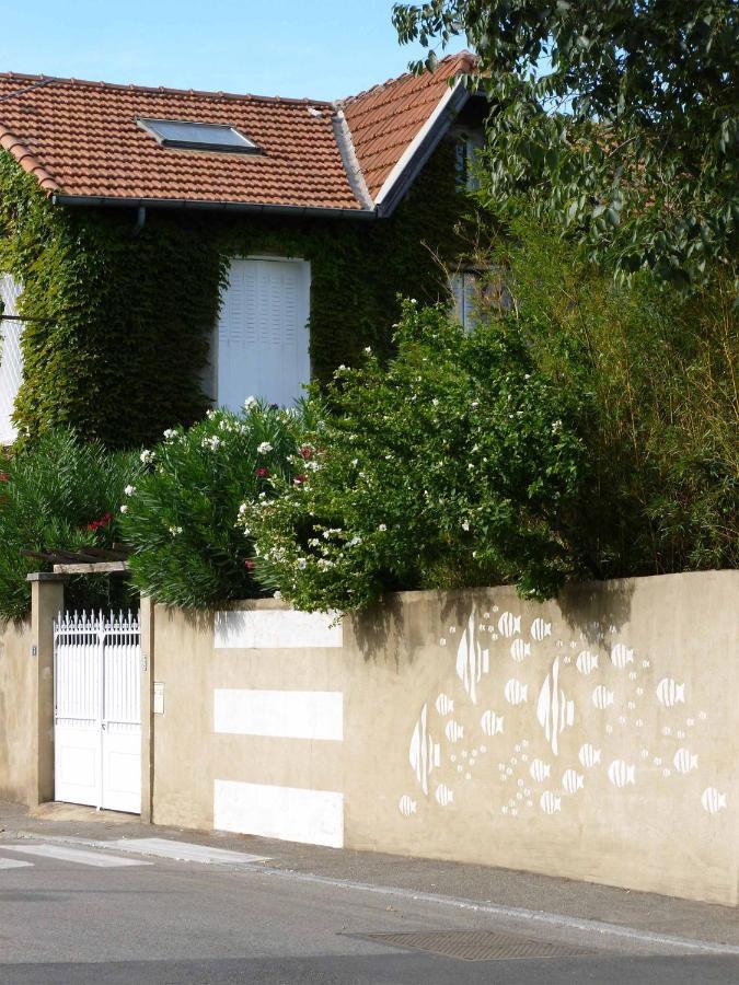 Bed and Breakfast Les Petits Poissons Avignon Exterior foto