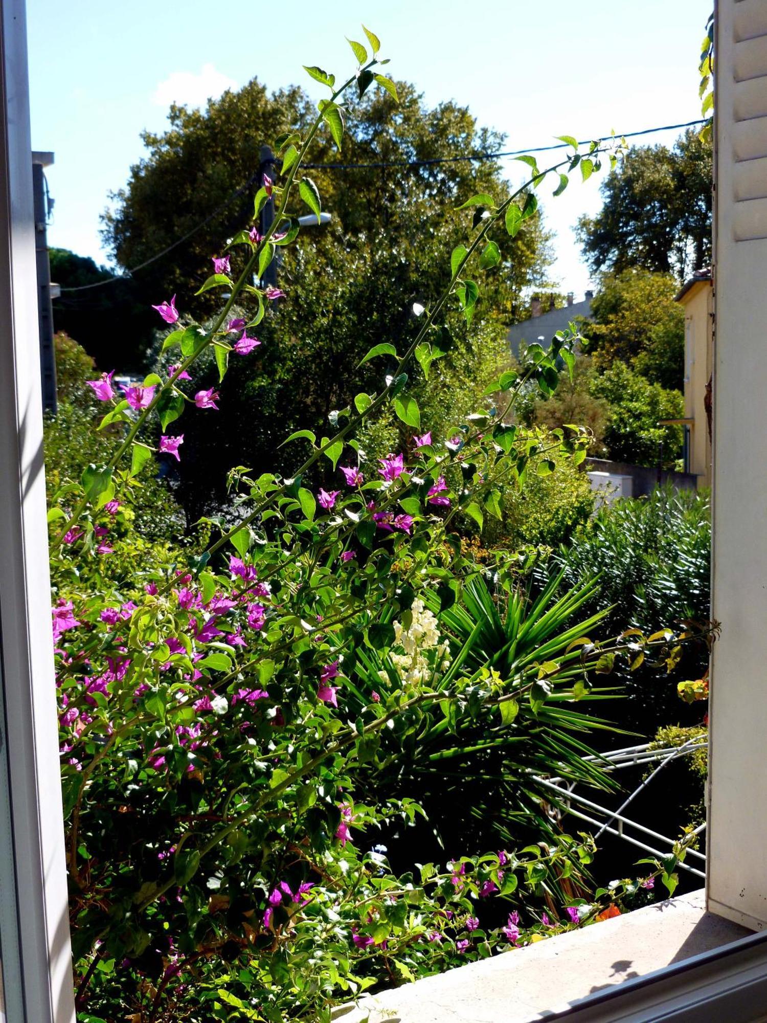 Bed and Breakfast Les Petits Poissons Avignon Zimmer foto